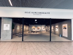 DIZAINOVACIJA.LT EXPOSITION